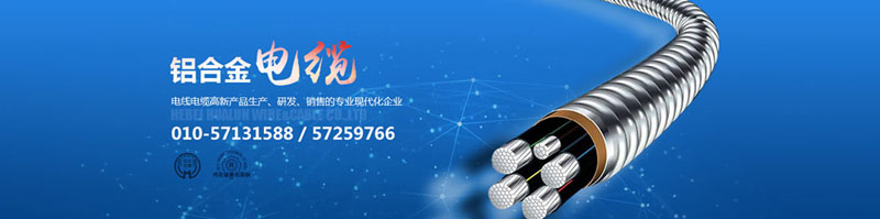 滄州市統(tǒng)計(jì)工作規(guī)范化建設(shè)推進(jìn)會(huì)在華倫公司順利召開！