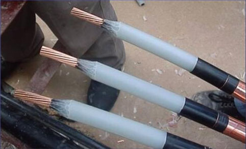 1588238243138359.jpg 151308zk4nm8myvtbooqnp.jpg